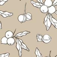 macadamia naadloos patroon. noten, zaden, Afdeling en bladeren tekening Aan beige achtergrond. vector illustratie.