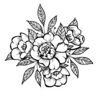 doodle kunst bloem en blad geïsoleerd op een witte achtergrond. hand getrokken illuatration peony bloem. vector