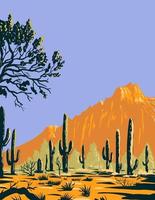 saguaro cactus of carnegiea gigantea in ironwood forest nationaal monument sectie van de sonorawoestijn in arizona wpa poster art vector