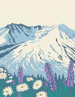 het nationale vulkanische monument van Mount St Helens in het nationale bos van Gifford Pinchot in het art vector