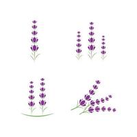 vers lavendel bloem logo vlak ontwerp sjabloon vector