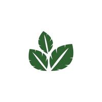 natuurlijk groen blad logo. met een illustratie logo ontwerp in een modern stijl. een logo voor Gezondheid en zorg. vector
