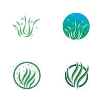zeewier logo ontwerp met vector illustratie sjabloon