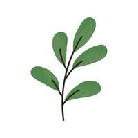 groene plant illustratie vector