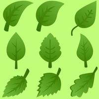blad vector illustratie. groen blad icoon voor ontwerp element. reeks van bladeren voor plant, boom, omgeving, ecologisch, bio of energie. icoon vel voor ontwerp grafisch hulpbron van natuur