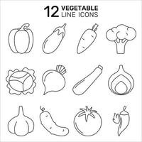 een reeks van groente vector pictogrammen - tomaat, komkommer, peper, ui, knoflook, broccoli, kool, courgette, aubergine, heet peper, wortel, rode biet.