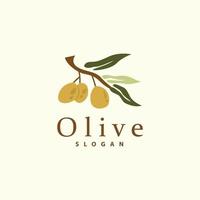 olijf- olie logo, olijf- blad fabriek kruiden tuin vector, gemakkelijk elegant luxueus icoon ontwerp sjabloon illustratie vector