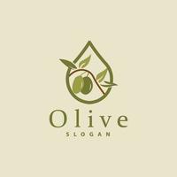 olijf- olie logo, olijf- blad fabriek kruiden tuin vector, gemakkelijk elegant luxueus icoon ontwerp sjabloon illustratie vector