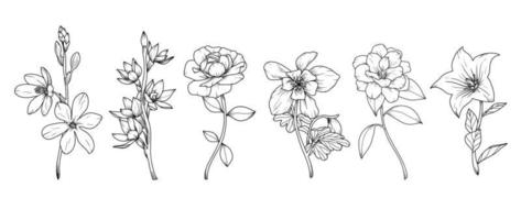 reeks van hand- getrokken botanisch bloemen lijn kunst vector. verzameling van zwart wit contour tekening van roos, wilde bloemen, blad. ontwerp illustratie voor afdrukken, logo, kunstmatig, poster, kaart, branding. vector