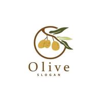 olijf- olie logo, olijf- blad fabriek kruiden tuin vector, gemakkelijk elegant luxueus icoon ontwerp sjabloon illustratie vector