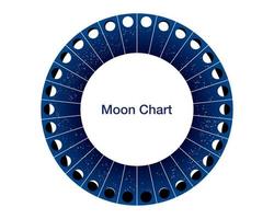 maan fasen cirkel, kalender astronomie vector grafiek, maan- wiel blauw sterrenhemel presentatie geïsoleerd Aan wit achtergrond