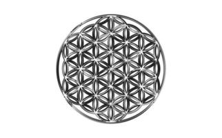 bloem van leven, yantra mandala hand- tekening zwart logo, heilig geometrie symbool van harmonie en evenwicht. zaad van leven mystiek talisman, vector geïsoleerd Aan wit achtergrond