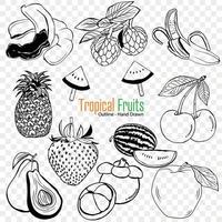 tropisch fruit verzameling, landbouw fruit, tuinieren, landbouw, biologisch voedsel vector