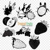 tropisch fruit verzameling, landbouw fruit, tuinieren, landbouw, biologisch voedsel vector