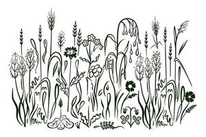 abstract achtergrond met zwart silhouetten van weide wild kruiden en bloemen. getrokken in tekening stijl. geïsoleerd Aan wit achtergrond. vector illustratie.