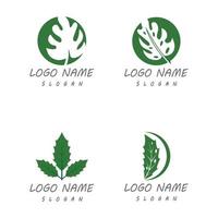 monstera blad logo vector ontwerp