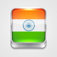 vlag van India vector