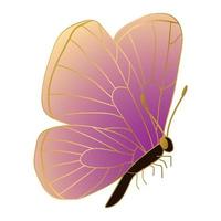 mooi sprankelend vlinder. tekening lijn gevulde vector illustratie.