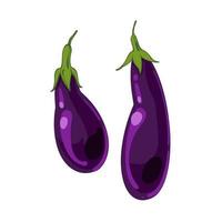 rijp vers aubergine, aubergine, hand- getrokken vector illustratie geïsoleerd Aan wit achtergrond. vers tekenfilm groente. seizoensgebonden groenten.
