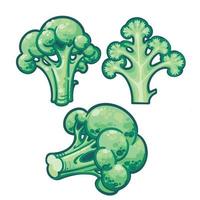 groen broccoli botanisch hand- getrokken geïsoleerd vector illustratie. biologisch vegetarisch Product. geïsoleerd Aan wit achtergrond. broccoli in snee.