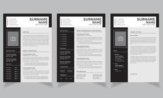 professioneel hervat CV lay-out en Hoes brief jobs ontwerp vector