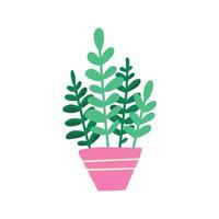 huis fabriek in pot. mooi hand- getrokken geïsoleerd vector illustratie met zamioculcas.