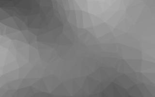 licht zilver, grijs vector veelhoek abstracte lay-out.