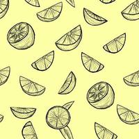 naadloos patroon met citrus vruchten. vector citroen.