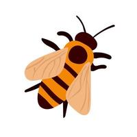 vectorillustratie van honingbij op witte achtergrond vector