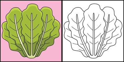 romaine sla groente kleur illustratie vector