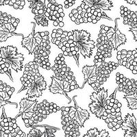 zwart en wit schets naadloos druiven patroon vector
