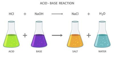 zuur baseren neutralisatie reactie produceren een zout en water vector
