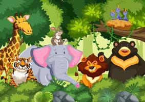 wilde dieren in de jungle vector