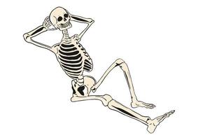 skelet. retro stijl illustratie van resting skelet. vlak vector. vector