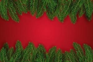 groen Kerstmis boom takken. kerstmis, nieuw jaar, winter grens met realistisch takken. vakantie achtergrond vector