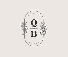 eerste qb brieven mooi bloemen vrouwelijk bewerkbare premade monoline logo geschikt voor spa salon huid haar- schoonheid winkel en kunstmatig bedrijf. vector