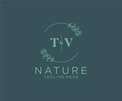 eerste TV brieven botanisch vrouwelijk logo sjabloon bloemen, bewerkbare premade monoline logo geschikt, luxe vrouwelijk bruiloft branding, zakelijk. vector