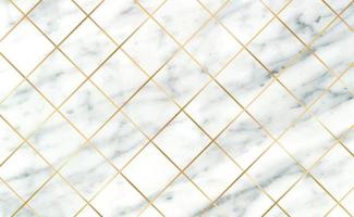 stenen tegels, textuur wit met zwarte marmeren achtergrond, gouden lijnen - vector