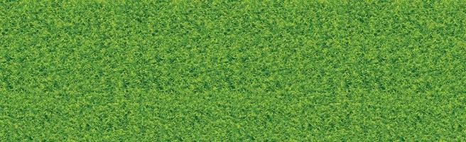 realistisch klassiek voetbalveld met tweekleurige groene coating vector