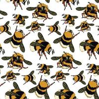 een patroon met een beeld van een honing bij. pluizig bijen, hommels in verschillend poses vlieg Aan een wit achtergrond. natuurlijk achtergrond met bijen. groot en klein insecten. het drukken Aan textiel en papier vector