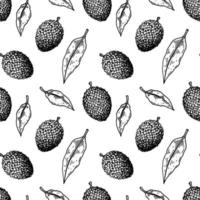 hand getekend lychee fruit naadloze patroon. vectorillustratie in botanische schetsstijl vector