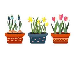 reeks van bloeiend voorjaar planten in potten. sanseveria, narcissen en tulpen. mooi bloeiend planten. botanisch thema. decoratief zomer tuin bloemen.bloem in een pot.plat stijl vector illustratie