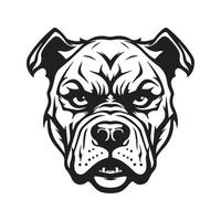 boos pitbull, logo concept zwart en wit kleur, hand- getrokken illustratie vector