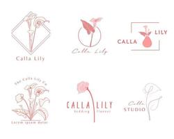 calla lelie logo sjabloon. botanisch en bloemlogo. vector