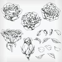 silhouet rozen. hand getrokken bloemen stencil vector tekening