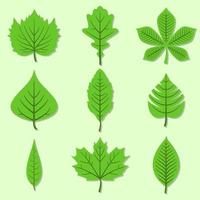 reeks van groen bladeren ontwerp elementen. vector