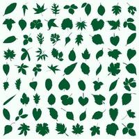 groen blad pictogrammen reeks Aan wit achtergrond. vector