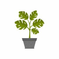 vector platte illustraties van monsterablad met pot. indoor ingemaakte decoratieve kamerplanten voor interieur huis of kantoor decoratie, groene tuin bloemen pictogrammen geïsoleerd op een witte achtergrond