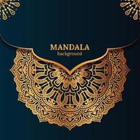 luxe mandala decoratief etnisch element achtergrond vector