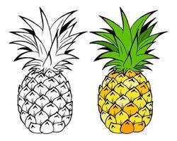 ananas fruit vector illustratie. object geïsoleerd op een witte achtergrond. doodle stijl. stoffen ontwerp.